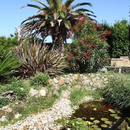 Poggio Chiaro Casa vacanze